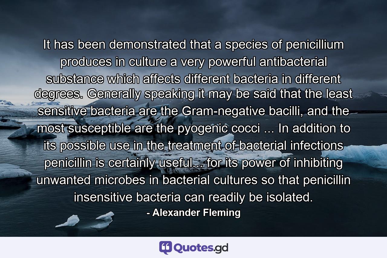 It has been demonstrated that a species of penicillium produces in culture a very powerful antibacterial substance which affects different bacteria in different degrees. Generally speaking it may be said that the least sensitive bacteria are the Gram-negative bacilli, and the most susceptible are the pyogenic cocci ... In addition to its possible use in the treatment of bacterial infections penicillin is certainly useful... for its power of inhibiting unwanted microbes in bacterial cultures so that penicillin insensitive bacteria can readily be isolated. - Quote by Alexander Fleming