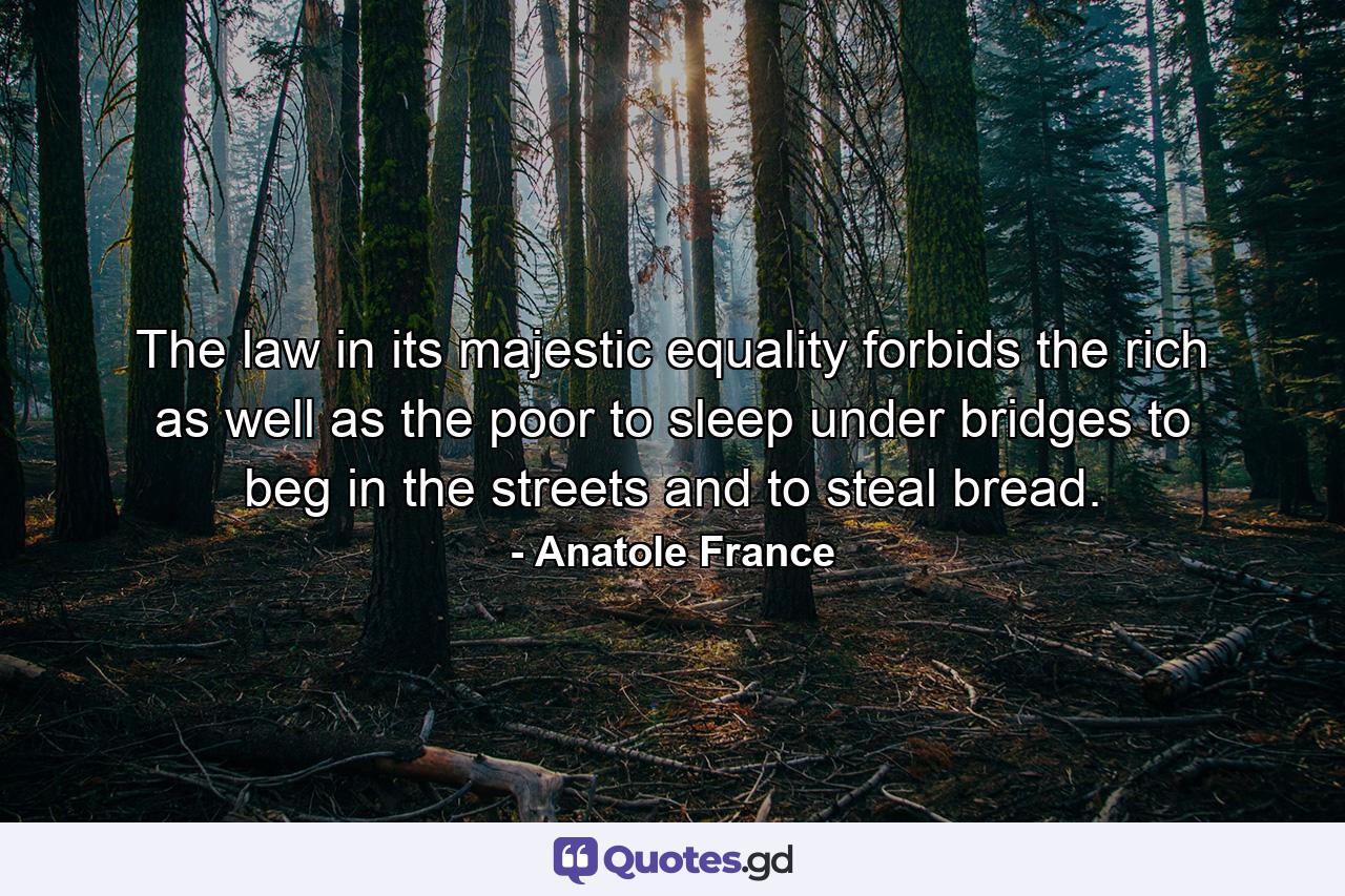 The law  in its majestic equality  forbids the rich as well as the poor to sleep under bridges  to beg in the streets  and to steal bread. - Quote by Anatole France