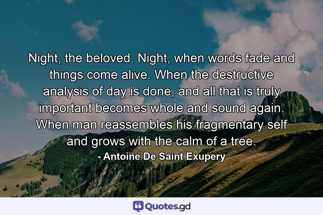 Night, the beloved. Night, when words fade and things come alive. When the destructive analysis of day is done, and all that is truly important becomes whole and sound again. When man reassembles his fragmentary self and grows with the calm of a tree. - Quote by Antoine De Saint Exupery