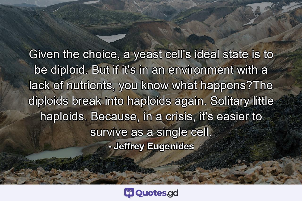 Given the choice, a yeast cell's ideal state is to be diploid. But if it's in an environment with a lack of nutrients, you know what happens?The diploids break into haploids again. Solitary little haploids. Because, in a crisis, it's easier to survive as a single cell. - Quote by Jeffrey Eugenides