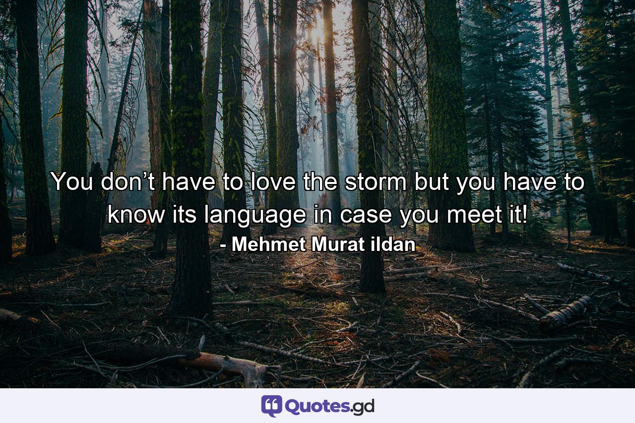 You don’t have to love the storm but you have to know its language in case you meet it! - Quote by Mehmet Murat ildan