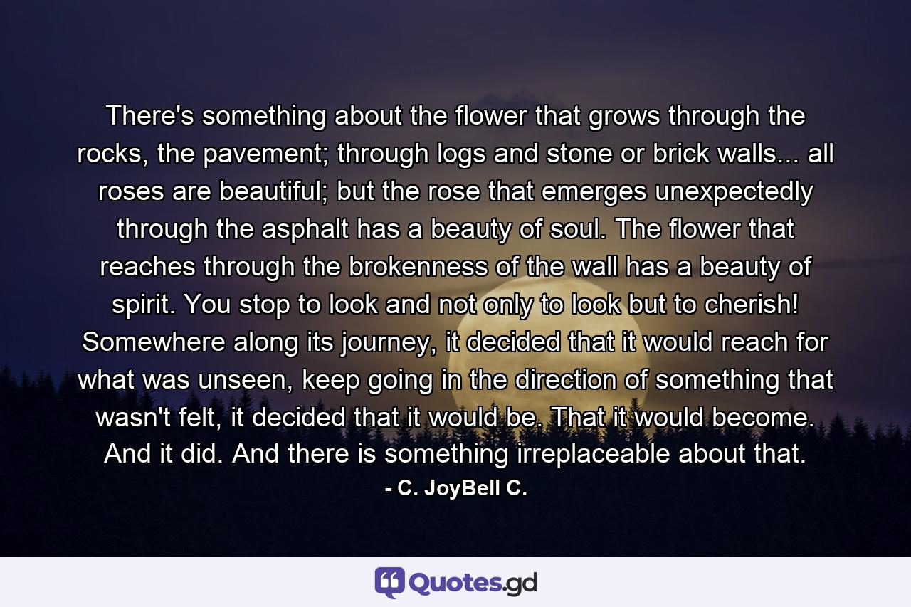 There's something about the flower that grows through the rocks, the pavement; through logs and stone or brick walls... all roses are beautiful; but the rose that emerges unexpectedly through the asphalt has a beauty of soul. The flower that reaches through the brokenness of the wall has a beauty of spirit. You stop to look and not only to look but to cherish! Somewhere along its journey, it decided that it would reach for what was unseen, keep going in the direction of something that wasn't felt, it decided that it would be. That it would become. And it did. And there is something irreplaceable about that. - Quote by C. JoyBell C.