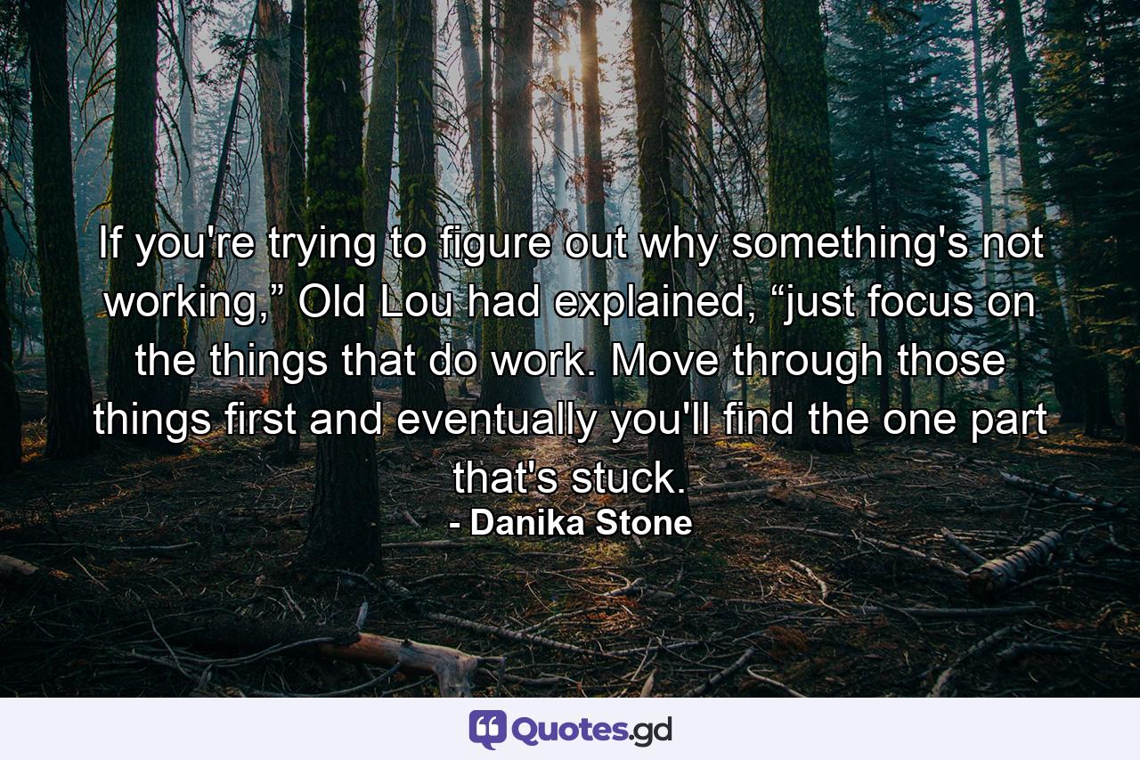 If you're trying to figure out why something's not working,” Old Lou had explained, “just focus on the things that do work. Move through those things first and eventually you'll find the one part that's stuck. - Quote by Danika Stone