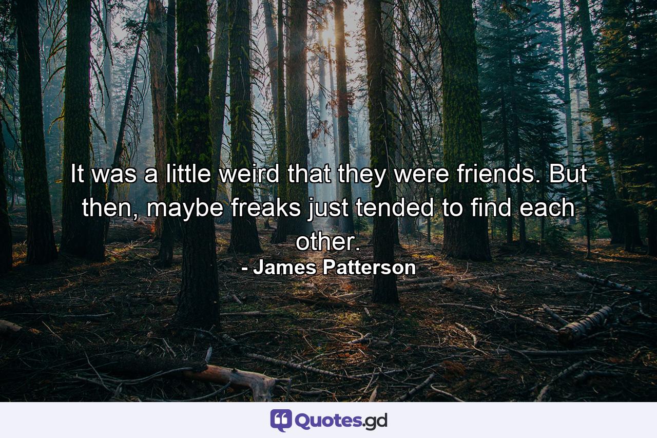 It was a little weird that they were friends. But then, maybe freaks just tended to find each other. - Quote by James Patterson