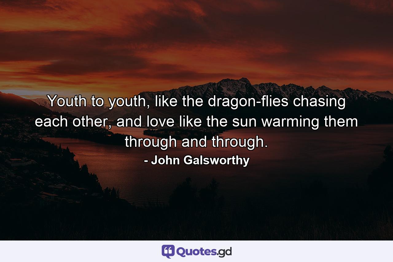 Youth to youth, like the dragon-flies chasing each other, and love like the sun warming them through and through. - Quote by John Galsworthy