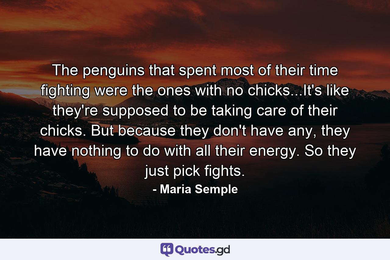 The penguins that spent most of their time fighting were the ones with no chicks...It's like they're supposed to be taking care of their chicks. But because they don't have any, they have nothing to do with all their energy. So they just pick fights. - Quote by Maria Semple