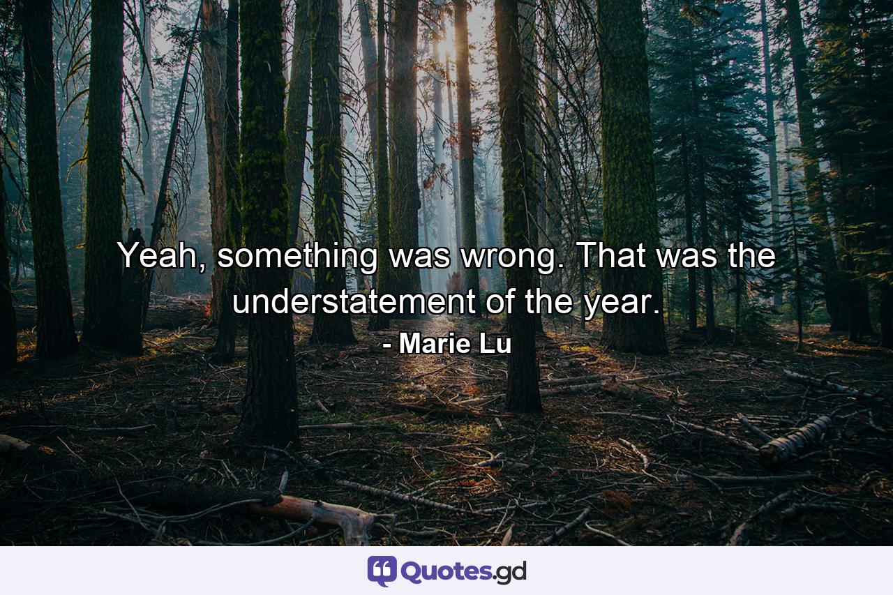 Yeah, something was wrong. That was the understatement of the year. - Quote by Marie Lu