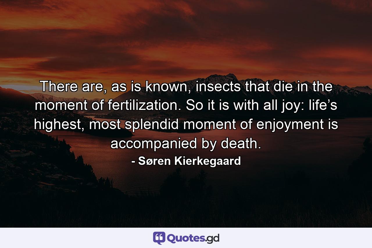 There are, as is known, insects that die in the moment of fertilization. So it is with all joy: life’s highest, most splendid moment of enjoyment is accompanied by death. - Quote by Søren Kierkegaard