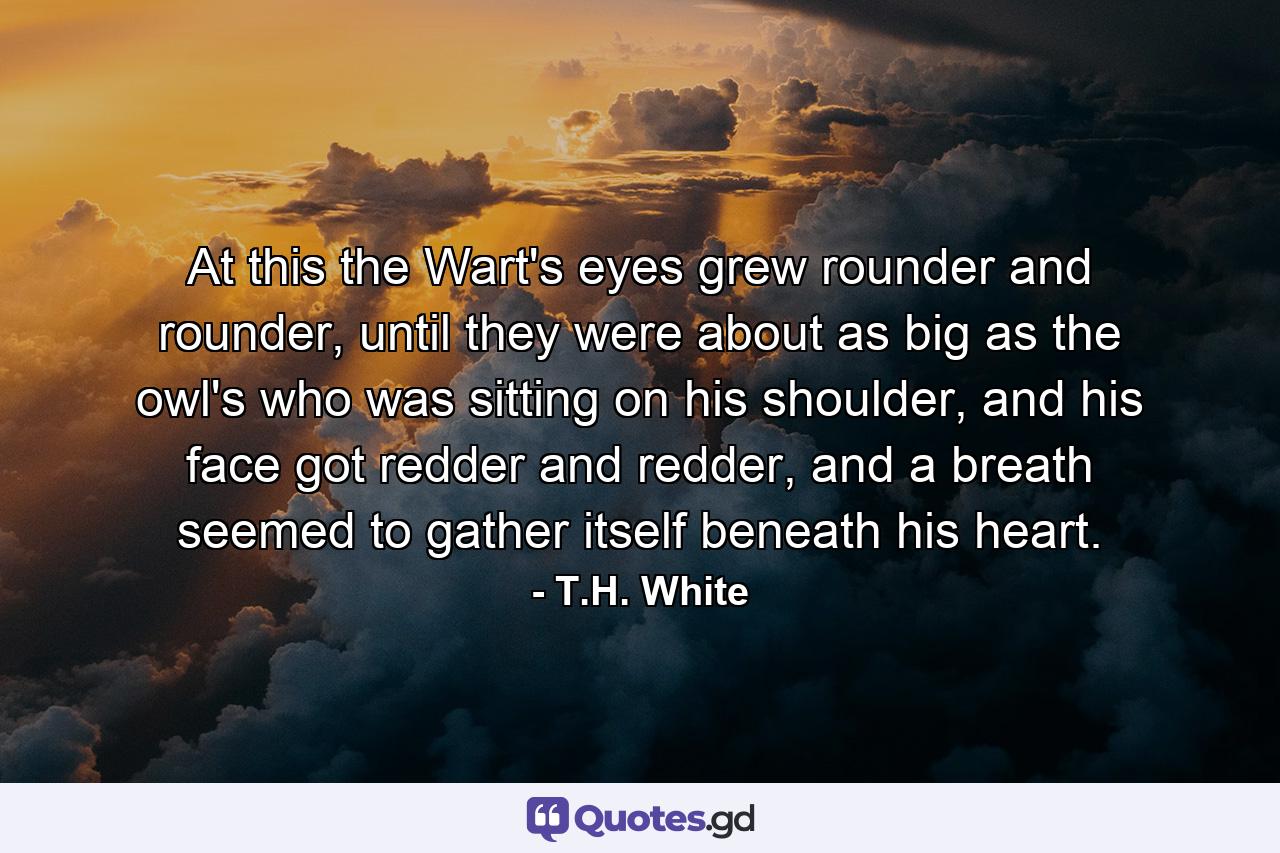 At this the Wart's eyes grew rounder and rounder, until they were about as big as the owl's who was sitting on his shoulder, and his face got redder and redder, and a breath seemed to gather itself beneath his heart. - Quote by T.H. White