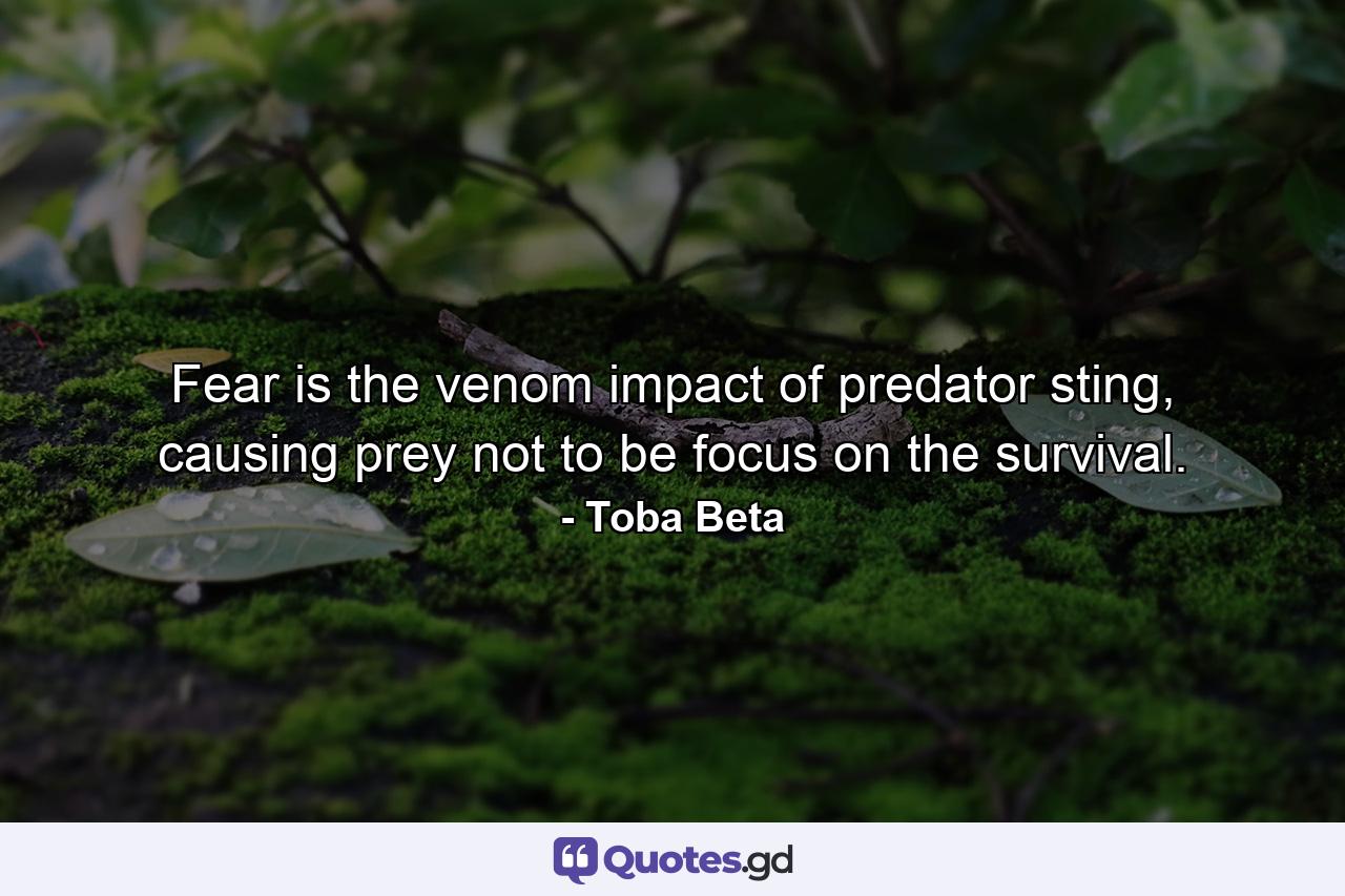 Fear is the venom impact of predator sting, causing prey not to be focus on the survival. - Quote by Toba Beta