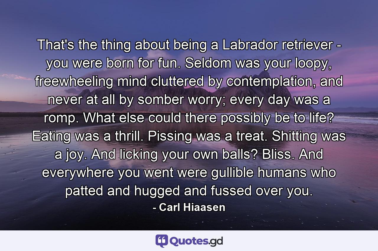 That's the thing about being a Labrador retriever - you were born for fun. Seldom was your loopy, freewheeling mind cluttered by contemplation, and never at all by somber worry; every day was a romp. What else could there possibly be to life? Eating was a thrill. Pissing was a treat. Shitting was a joy. And licking your own balls? Bliss. And everywhere you went were gullible humans who patted and hugged and fussed over you. - Quote by Carl Hiaasen