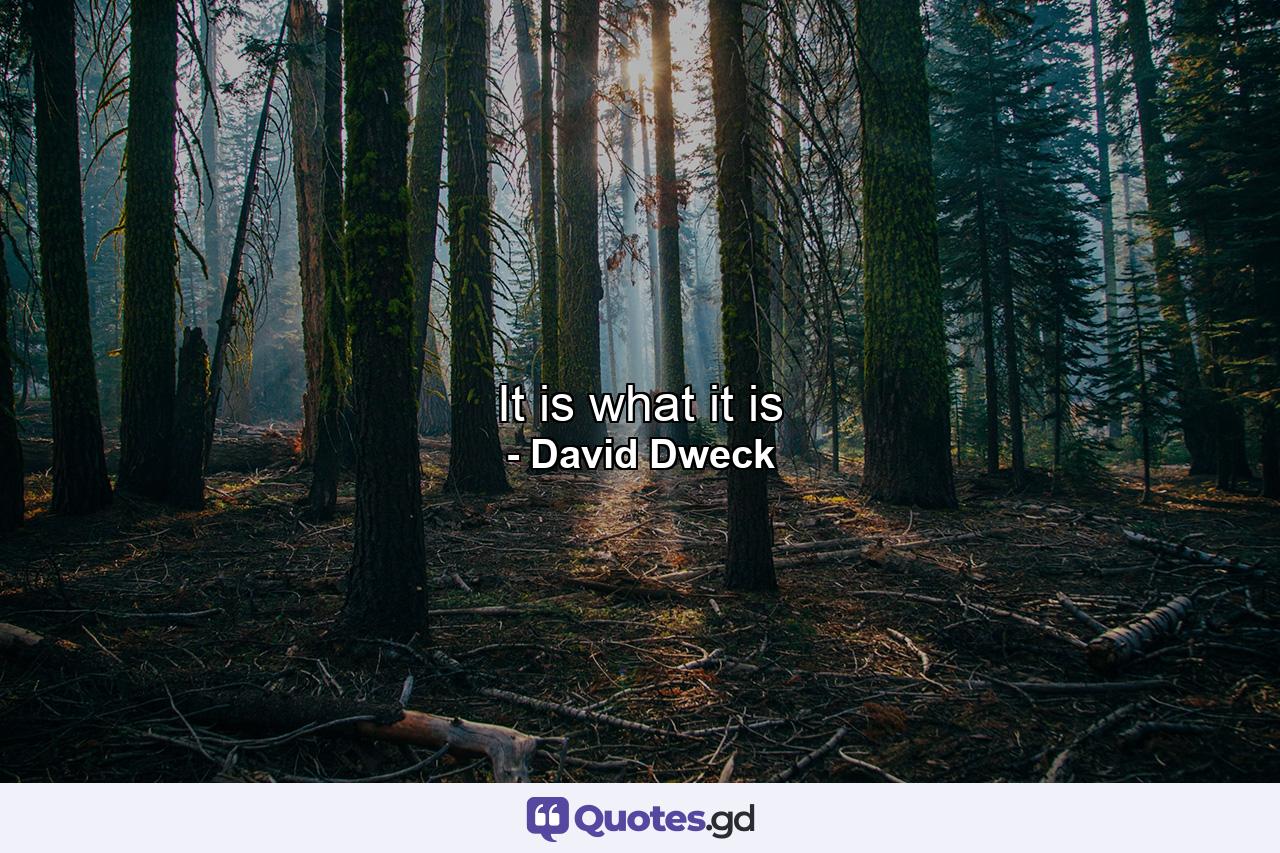 It is what it is - Quote by David Dweck