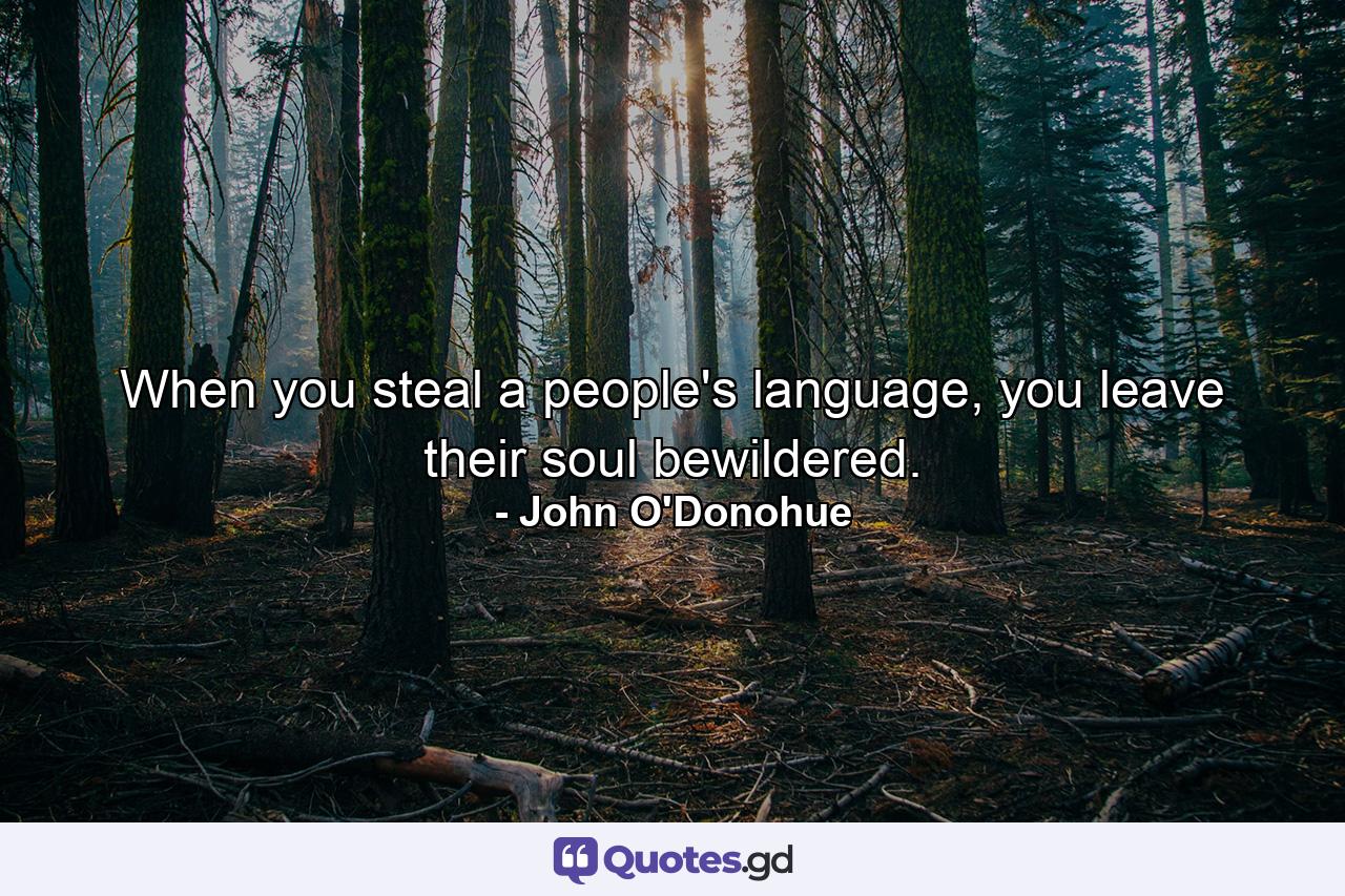 When you steal a people's language, you leave their soul bewildered. - Quote by John O'Donohue