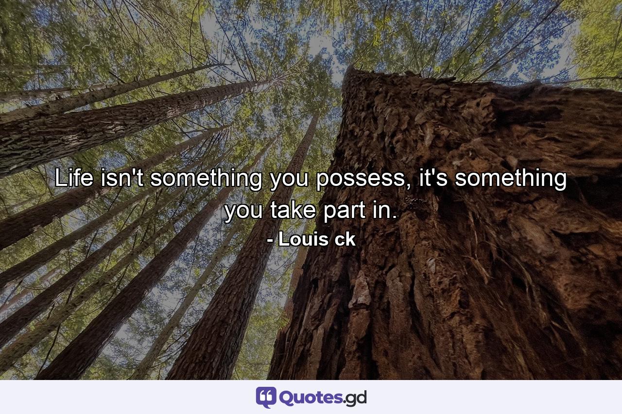 Life isn't something you possess, it's something you take part in. - Quote by Louis ck