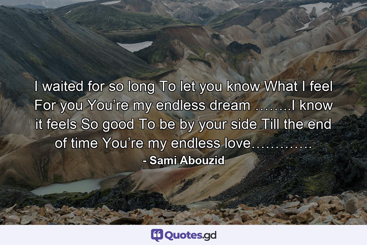 I waited for so long To let you know What I feel For you You’re my endless dream ……..I know it feels So good To be by your side Till the end of time You’re my endless love…………. - Quote by Sami Abouzid