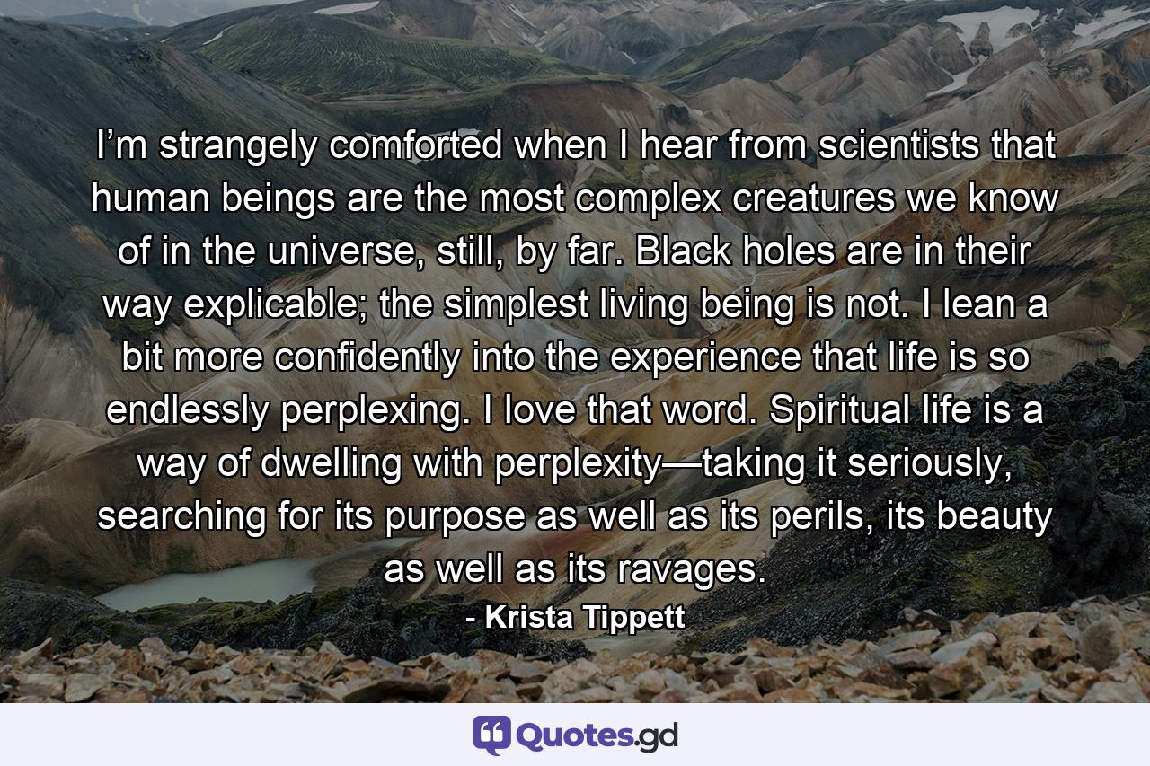 I’m strangely comforted when I hear from scientists that human beings are the most complex creatures we know of in the universe, still, by far. Black holes are in their way explicable; the simplest living being is not. I lean a bit more confidently into the experience that life is so endlessly perplexing. I love that word. Spiritual life is a way of dwelling with perplexity—taking it seriously, searching for its purpose as well as its perils, its beauty as well as its ravages. - Quote by Krista Tippett