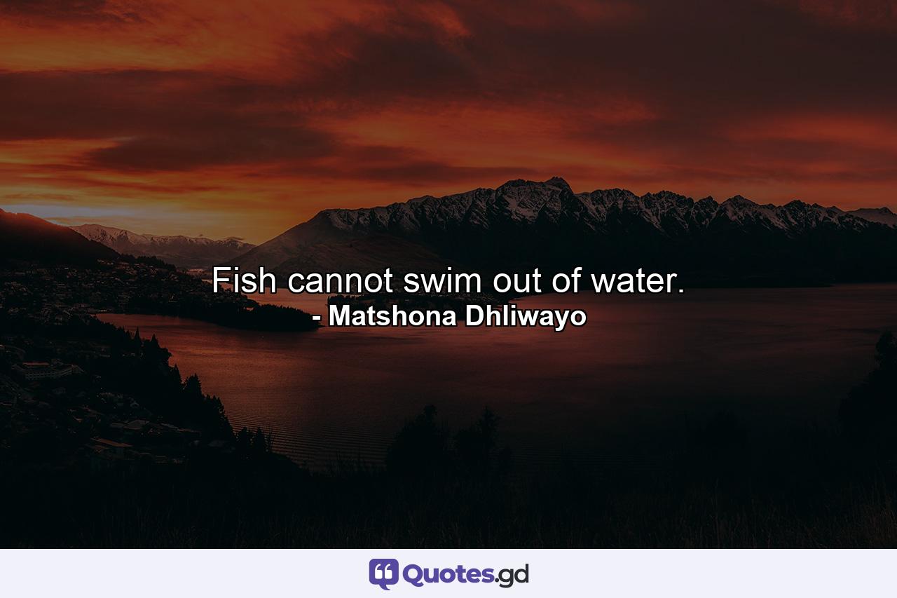 Fish cannot swim out of water. - Quote by Matshona Dhliwayo