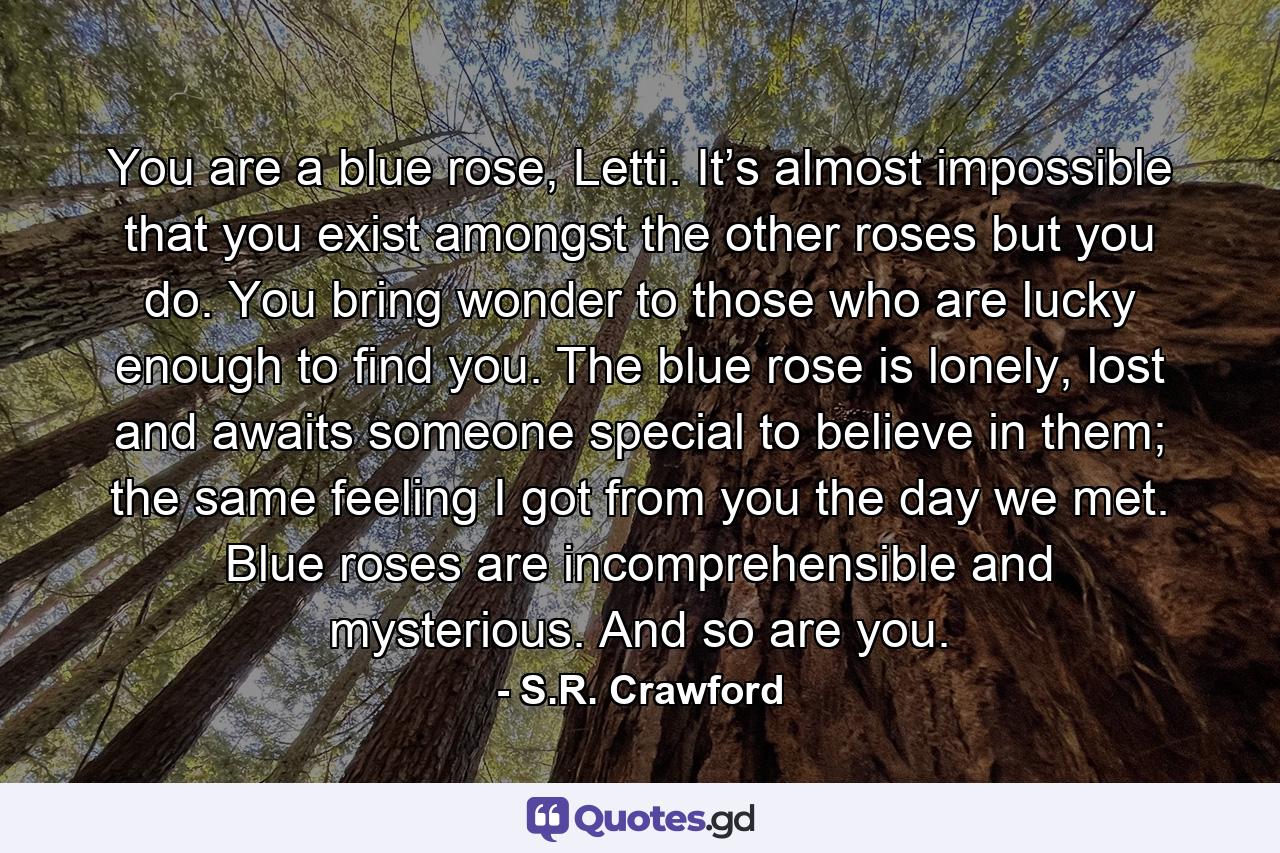 You are a blue rose, Letti. It’s almost impossible that you exist amongst the other roses but you do. You bring wonder to those who are lucky enough to find you. The blue rose is lonely, lost and awaits someone special to believe in them; the same feeling I got from you the day we met. Blue roses are incomprehensible and mysterious. And so are you. - Quote by S.R. Crawford