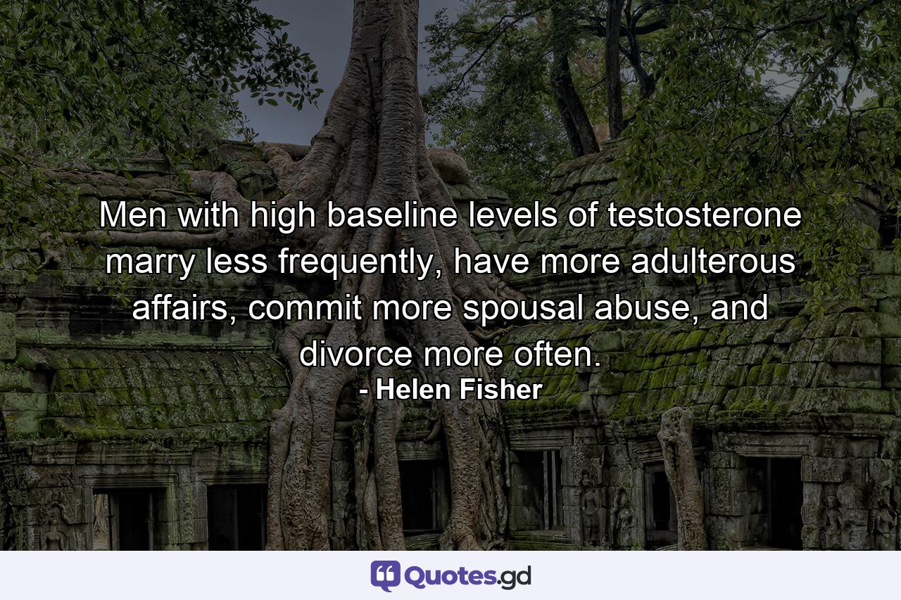 Men with high baseline levels of testosterone marry less frequently, have more adulterous affairs, commit more spousal abuse, and divorce more often. - Quote by Helen Fisher