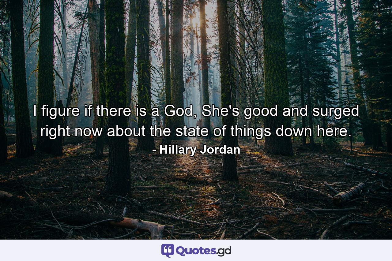 I figure if there is a God, She's good and surged right now about the state of things down here. - Quote by Hillary Jordan