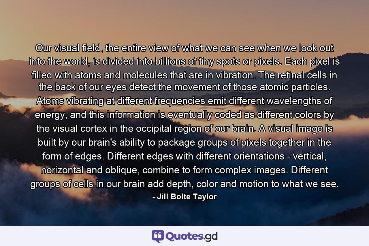 Our visual field, the entire view of what we can see when we look out into the world, is divided into billions of tiny spots or pixels. Each pixel is filled with atoms and molecules that are in vibration. The retinal cells in the back of our eyes detect the movement of those atomic particles. Atoms vibrating at different frequencies emit different wavelengths of energy, and this information is eventually coded as different colors by the visual cortex in the occipital region of our brain. A visual image is built by our brain's ability to package groups of pixels together in the form of edges. Different edges with different orientations - vertical, horizontal and oblique, combine to form complex images. Different groups of cells in our brain add depth, color and motion to what we see. - Quote by Jill Bolte Taylor