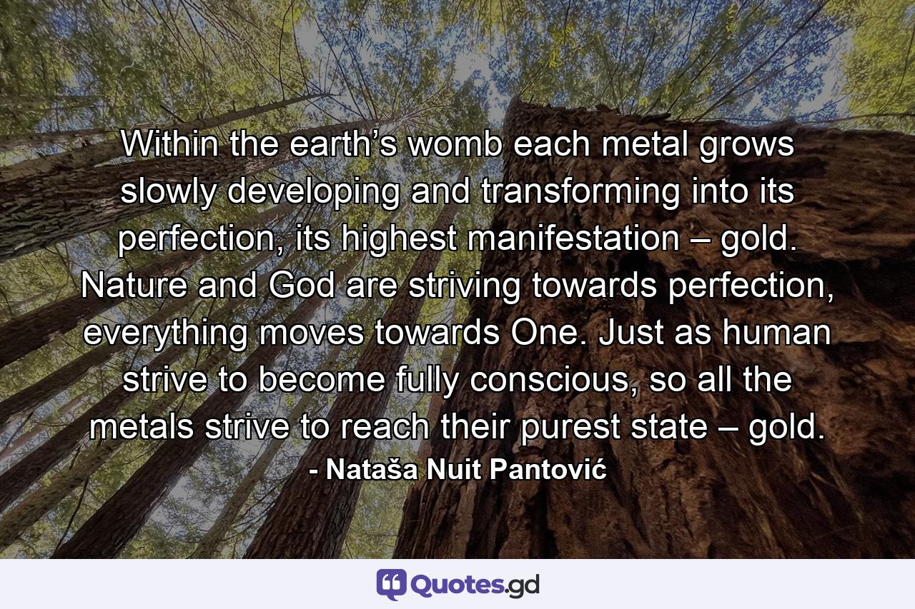 Within the earth’s womb each metal grows slowly developing and transforming into its perfection, its highest manifestation – gold. Nature and God are striving towards perfection, everything moves towards One. Just as human strive to become fully conscious, so all the metals strive to reach their purest state – gold. - Quote by Nataša Nuit Pantović