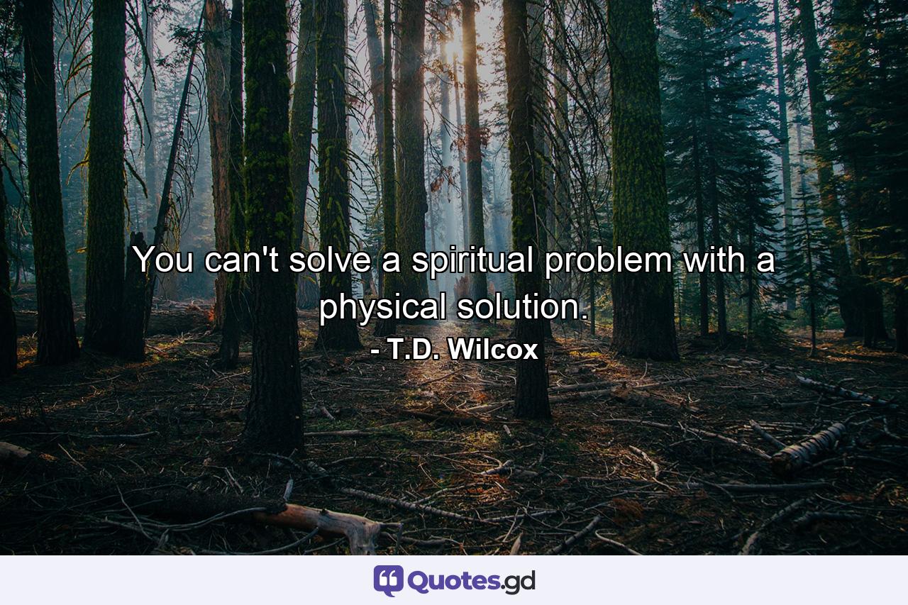 You can't solve a spiritual problem with a physical solution. - Quote by T.D. Wilcox