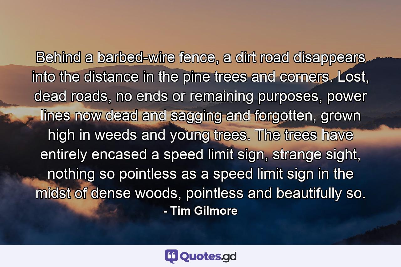 Behind a barbed-wire fence, a dirt road disappears into the distance in the pine trees and corners. Lost, dead roads, no ends or remaining purposes, power lines now dead and sagging and forgotten, grown high in weeds and young trees. The trees have entirely encased a speed limit sign, strange sight, nothing so pointless as a speed limit sign in the midst of dense woods, pointless and beautifully so. - Quote by Tim Gilmore