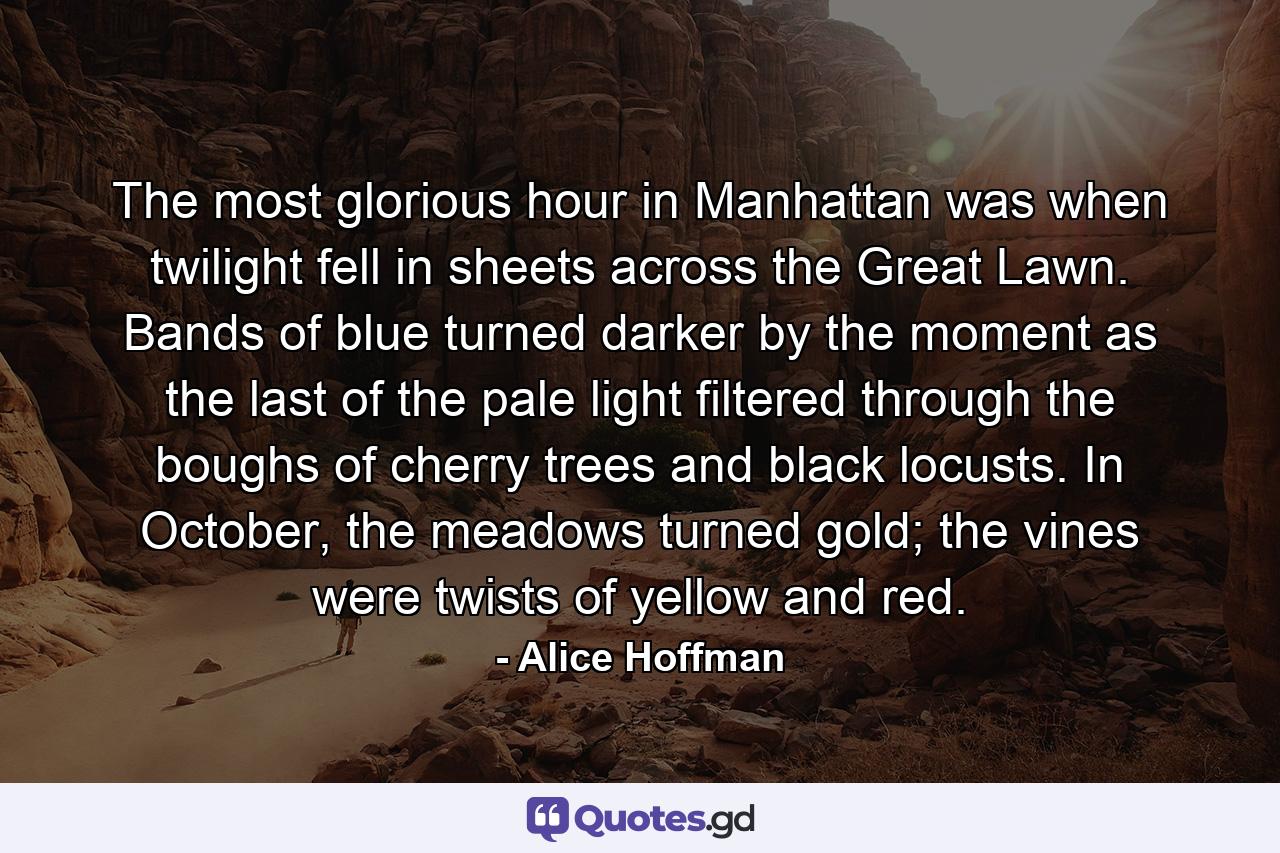 The most glorious hour in Manhattan was when twilight fell in sheets across the Great Lawn. Bands of blue turned darker by the moment as the last of the pale light filtered through the boughs of cherry trees and black locusts. In October, the meadows turned gold; the vines were twists of yellow and red. - Quote by Alice Hoffman