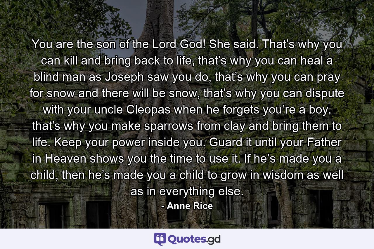 You are the son of the Lord God! She said. That’s why you can kill and bring back to life, that’s why you can heal a blind man as Joseph saw you do, that’s why you can pray for snow and there will be snow, that’s why you can dispute with your uncle Cleopas when he forgets you’re a boy, that’s why you make sparrows from clay and bring them to life. Keep your power inside you. Guard it until your Father in Heaven shows you the time to use it. If he’s made you a child, then he’s made you a child to grow in wisdom as well as in everything else. - Quote by Anne Rice