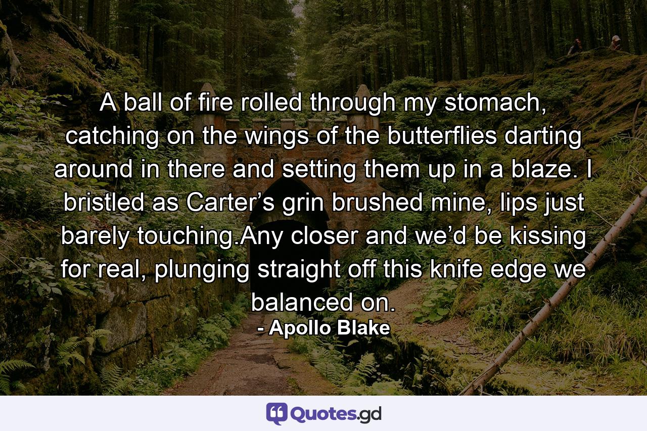 A ball of fire rolled through my stomach, catching on the wings of the butterflies darting around in there and setting them up in a blaze. I bristled as Carter’s grin brushed mine, lips just barely touching.Any closer and we’d be kissing for real, plunging straight off this knife edge we balanced on. - Quote by Apollo Blake