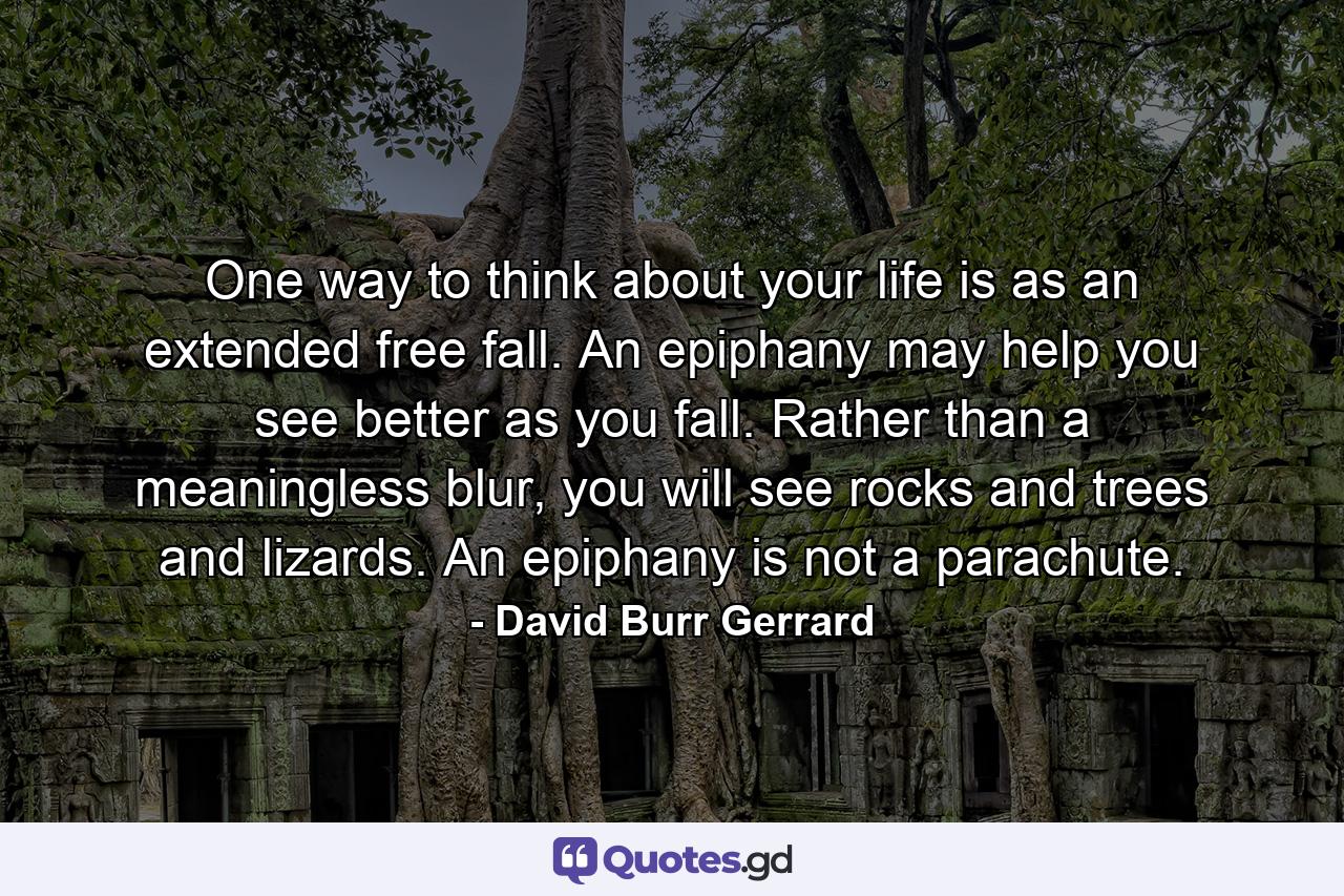 One way to think about your life is as an extended free fall. An epiphany may help you see better as you fall. Rather than a meaningless blur, you will see rocks and trees and lizards. An epiphany is not a parachute. - Quote by David Burr Gerrard