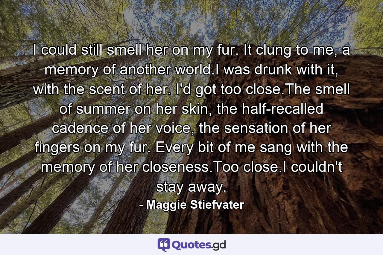 I could still smell her on my fur. It clung to me, a memory of another world.I was drunk with it, with the scent of her. I'd got too close.The smell of summer on her skin, the half-recalled cadence of her voice, the sensation of her fingers on my fur. Every bit of me sang with the memory of her closeness.Too close.I couldn't stay away. - Quote by Maggie Stiefvater