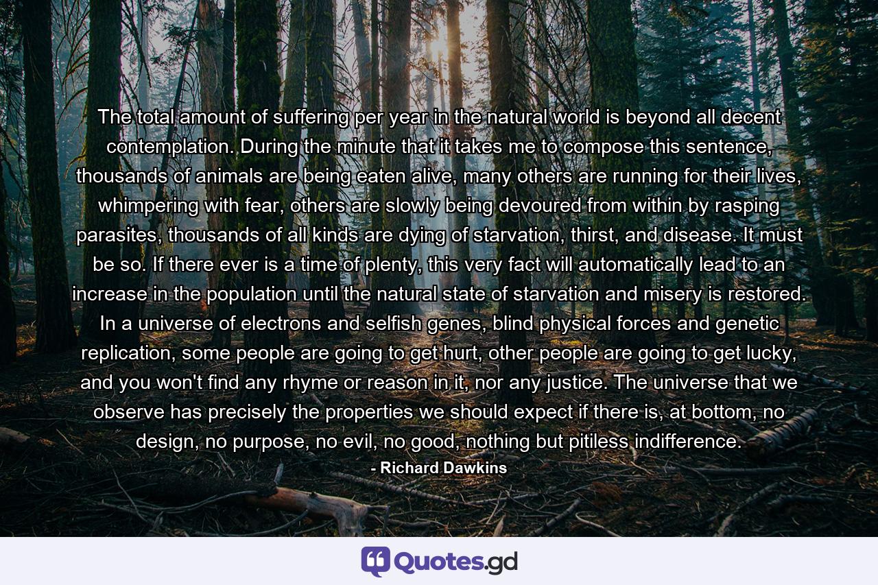 The total amount of suffering per year in the natural world is beyond all decent contemplation. During the minute that it takes me to compose this sentence, thousands of animals are being eaten alive, many others are running for their lives, whimpering with fear, others are slowly being devoured from within by rasping parasites, thousands of all kinds are dying of starvation, thirst, and disease. It must be so. If there ever is a time of plenty, this very fact will automatically lead to an increase in the population until the natural state of starvation and misery is restored. In a universe of electrons and selfish genes, blind physical forces and genetic replication, some people are going to get hurt, other people are going to get lucky, and you won't find any rhyme or reason in it, nor any justice. The universe that we observe has precisely the properties we should expect if there is, at bottom, no design, no purpose, no evil, no good, nothing but pitiless indifference. - Quote by Richard Dawkins