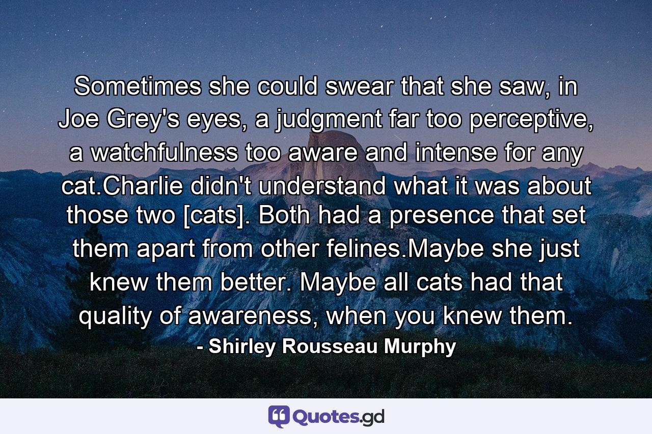 Sometimes she could swear that she saw, in Joe Grey's eyes, a judgment far too perceptive, a watchfulness too aware and intense for any cat.Charlie didn't understand what it was about those two [cats]. Both had a presence that set them apart from other felines.Maybe she just knew them better. Maybe all cats had that quality of awareness, when you knew them. - Quote by Shirley Rousseau Murphy