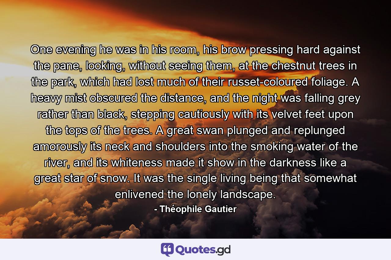 One evening he was in his room, his brow pressing hard against the pane, looking, without seeing them, at the chestnut trees in the park, which had lost much of their russet-coloured foliage. A heavy mist obscured the distance, and the night was falling grey rather than black, stepping cautiously with its velvet feet upon the tops of the trees. A great swan plunged and replunged amorously its neck and shoulders into the smoking water of the river, and its whiteness made it show in the darkness like a great star of snow. It was the single living being that somewhat enlivened the lonely landscape. - Quote by Théophile Gautier