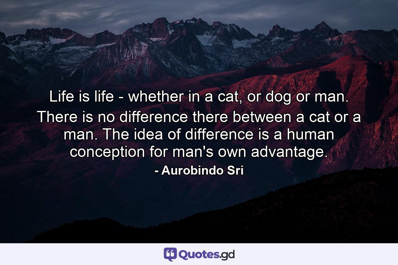 Life is life - whether in a cat, or dog or man. There is no difference there between a cat or a man. The idea of difference is a human conception for man's own advantage. - Quote by Aurobindo Sri