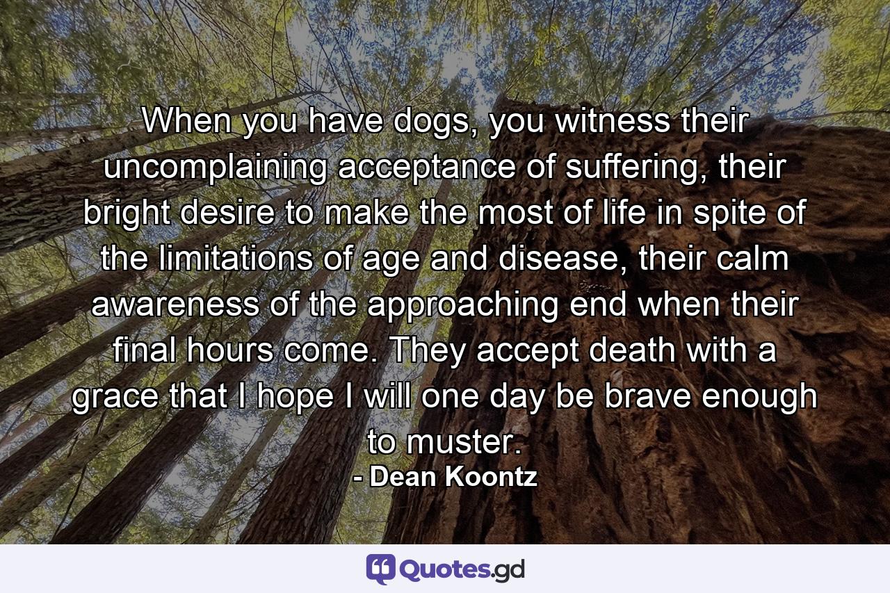 When you have dogs, you witness their uncomplaining acceptance of suffering, their bright desire to make the most of life in spite of the limitations of age and disease, their calm awareness of the approaching end when their final hours come. They accept death with a grace that I hope I will one day be brave enough to muster. - Quote by Dean Koontz