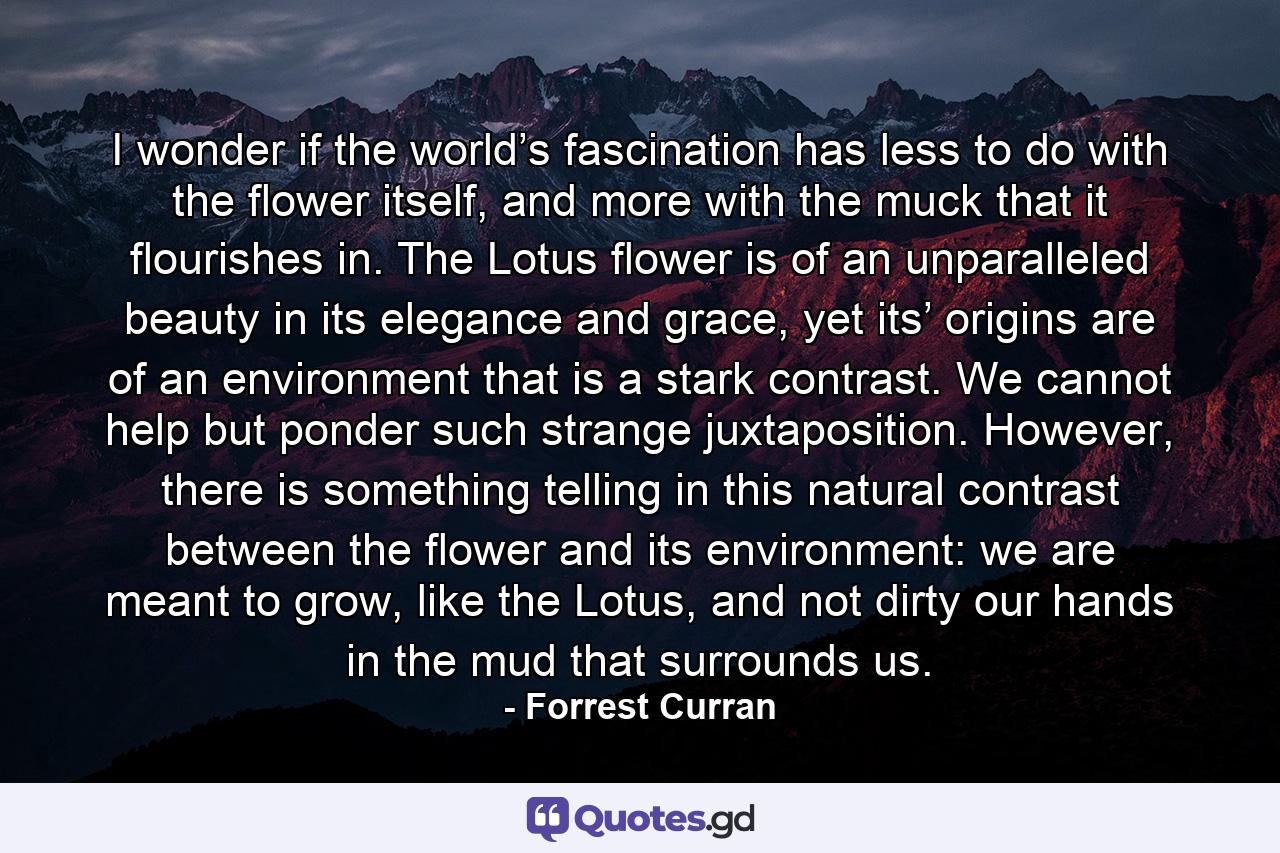 I wonder if the world’s fascination has less to do with the flower itself, and more with the muck that it flourishes in. The Lotus flower is of an unparalleled beauty in its elegance and grace, yet its’ origins are of an environment that is a stark contrast. We cannot help but ponder such strange juxtaposition. However, there is something telling in this natural contrast between the flower and its environment: we are meant to grow, like the Lotus, and not dirty our hands in the mud that surrounds us. - Quote by Forrest Curran