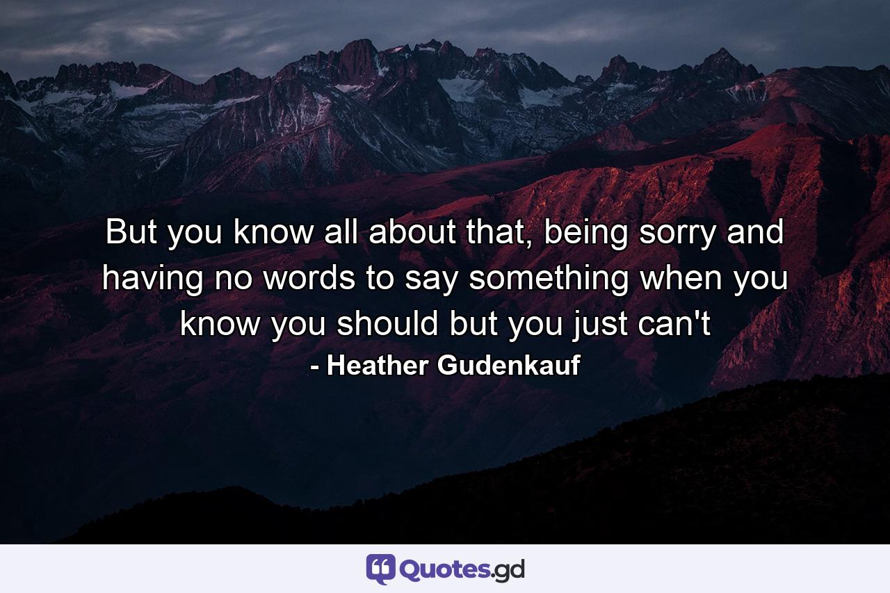 But you know all about that, being sorry and having no words to say something when you know you should but you just can't - Quote by Heather Gudenkauf