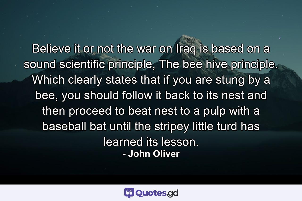 Believe it or not the war on Iraq is based on a sound scientific principle, The bee hive principle. Which clearly states that if you are stung by a bee, you should follow it back to its nest and then proceed to beat nest to a pulp with a baseball bat until the stripey little turd has learned its lesson. - Quote by John Oliver