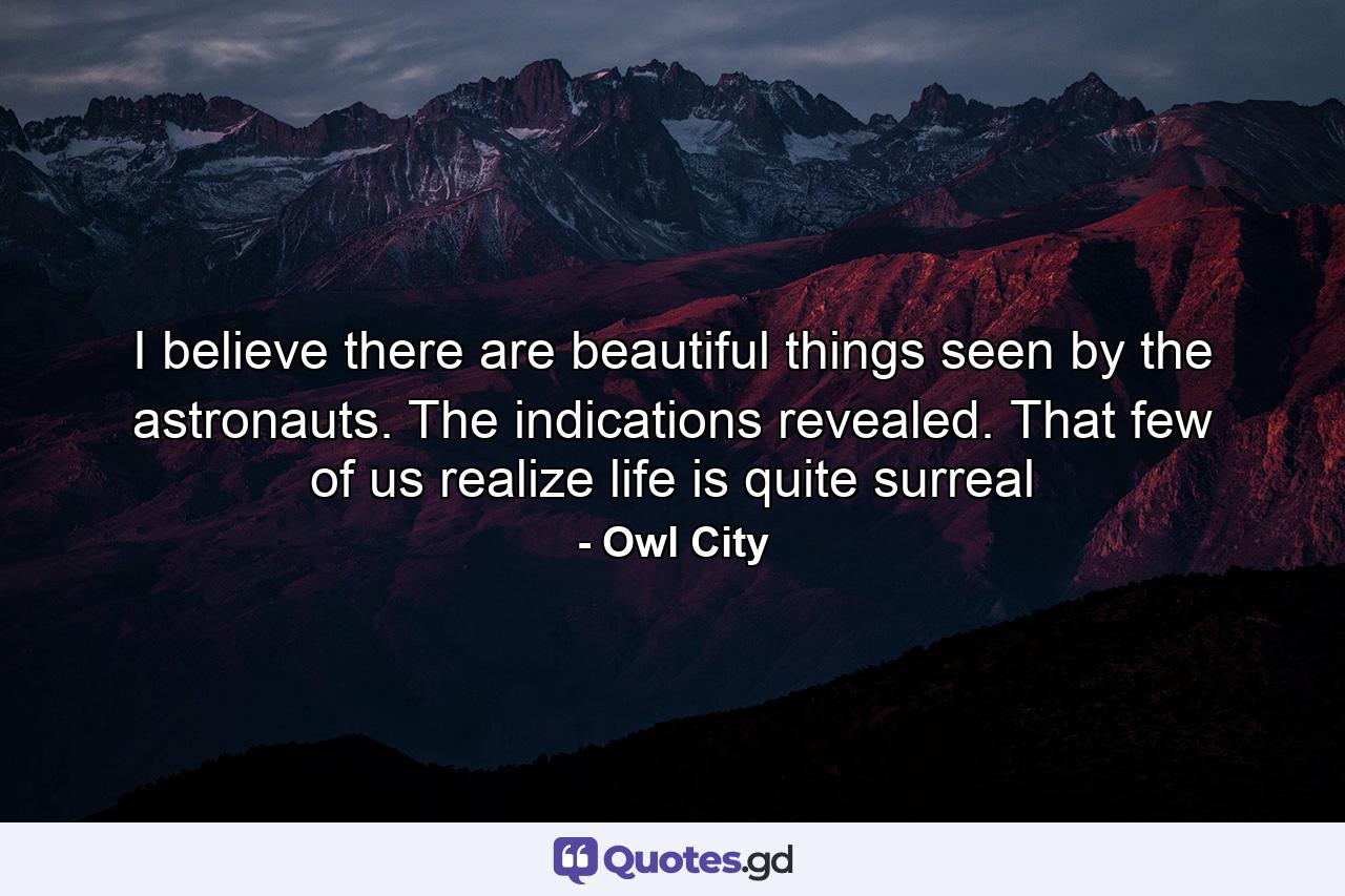 I believe there are beautiful things seen by the astronauts. The indications revealed. That few of us realize life is quite surreal - Quote by Owl City