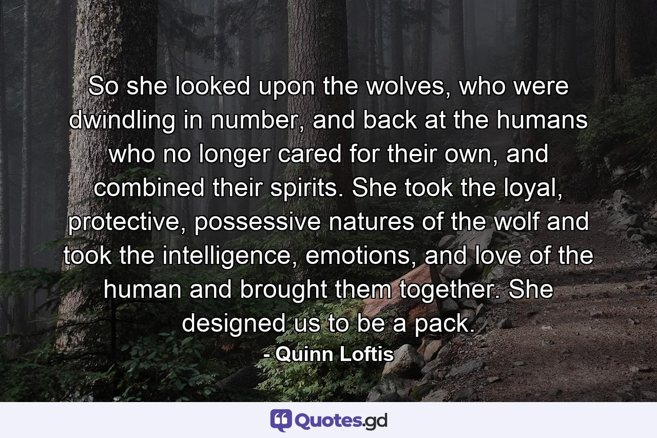 So she looked upon the wolves, who were dwindling in number, and back at the humans who no longer cared for their own, and combined their spirits. She took the loyal, protective, possessive natures of the wolf and took the intelligence, emotions, and love of the human and brought them together. She designed us to be a pack. - Quote by Quinn Loftis