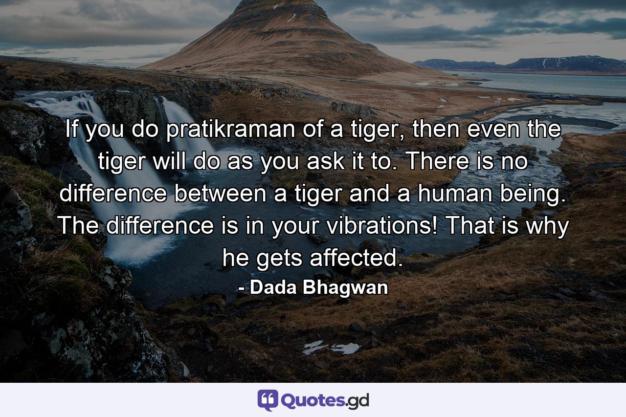 If you do pratikraman of a tiger, then even the tiger will do as you ask it to. There is no difference between a tiger and a human being. The difference is in your vibrations! That is why he gets affected. - Quote by Dada Bhagwan