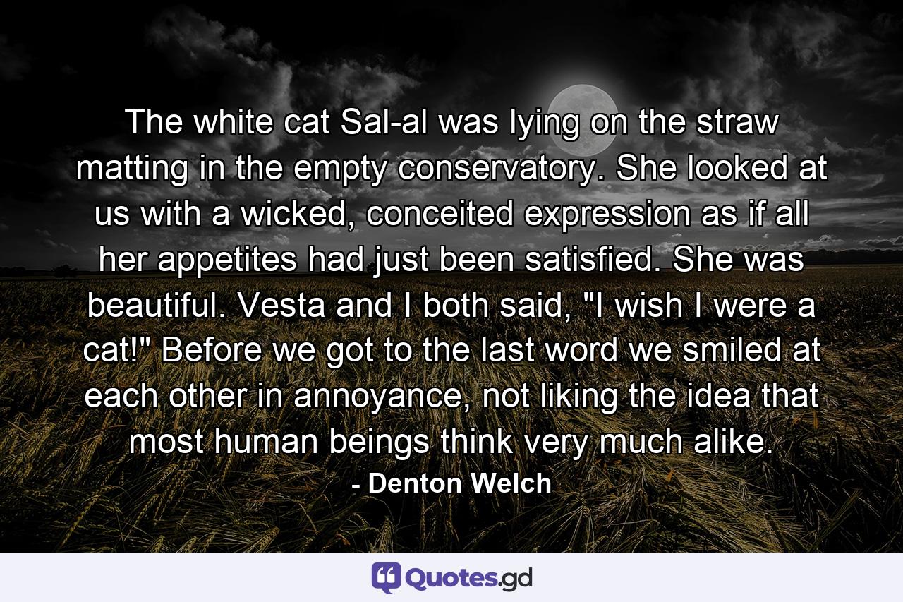 The white cat Sal-al was lying on the straw matting in the empty conservatory. She looked at us with a wicked, conceited expression as if all her appetites had just been satisfied. She was beautiful. Vesta and I both said, 