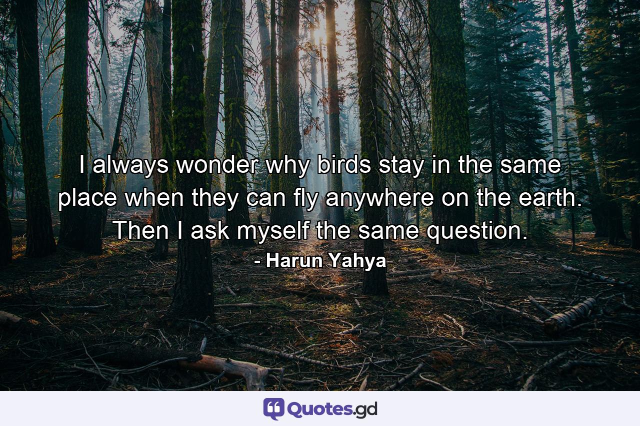 I always wonder why birds stay in the same place when they can fly anywhere on the earth. Then I ask myself the same question. - Quote by Harun Yahya