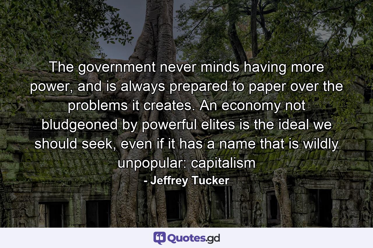 The government never minds having more power, and is always prepared to paper over the problems it creates. An economy not bludgeoned by powerful elites is the ideal we should seek, even if it has a name that is wildly unpopular: capitalism - Quote by Jeffrey Tucker