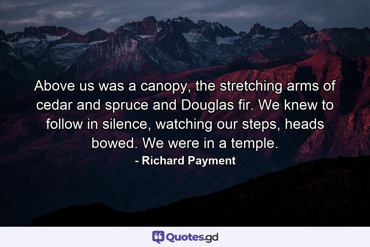 Above us was a canopy, the stretching arms of cedar and spruce and Douglas fir. We knew to follow in silence, watching our steps, heads bowed. We were in a temple. - Quote by Richard Payment