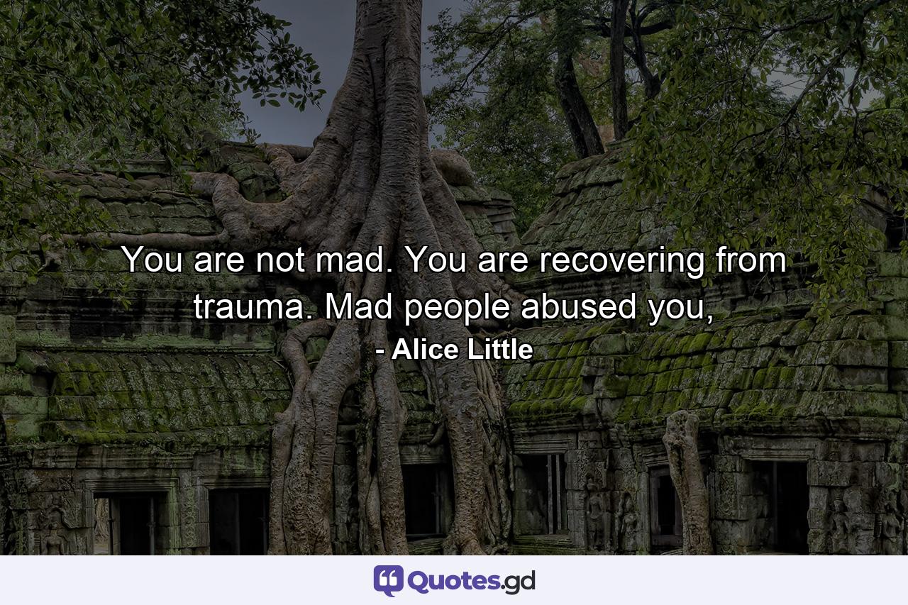 You are not mad. You are recovering from trauma. Mad people abused you, - Quote by Alice Little