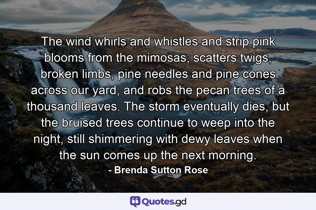 The wind whirls and whistles and strip pink blooms from the mimosas, scatters twigs, broken limbs, pine needles and pine cones across our yard, and robs the pecan trees of a thousand leaves. The storm eventually dies, but the bruised trees continue to weep into the night, still shimmering with dewy leaves when the sun comes up the next morning. - Quote by Brenda Sutton Rose